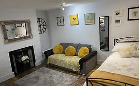 The Studio